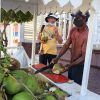 Puerto Plata: City Highlights Tour with Mount Isabel & Lunch - Image 6