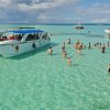 Santo Domingo: Saona Island Catamaran Tour with Lunch & Bar - Image 6