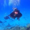 Punta Cana: Catalina Island Scuba Diving Day Trip - Image 2