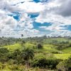 Punta Cana: Anamaya Mountains Walking Tour with Tasting - Image 6