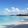 Punta Cana: Saona Island Full-Day Small Groups Tour - Image 6