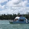 Small-Group Cruising and Snorkeling Catamaran Tour - Image 6