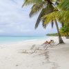 Saona Island: Incredible day With buffet from Punta Cana - Image 6