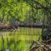 Los Haitises Boat Ride + Caño Hondo Natural Pools - Image 6