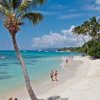 From Punta Cana: Samaná, Cayo Levantado & El Limón Waterfall - Image 6