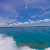 Full-Day Cruise of Isla Saona from Santo Domingo with Lunch - Image 5