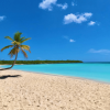 Saona Island: Full-Day Boat Tour with Drinks & Buffet Lunch - Image 6