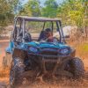 Punta Cana: Off-road Buggy Adventure in the Jungle - Image 6