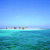 Cayo Arena: Paradise Island and Mangroves Tour - Image 5