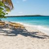 Punta Cana: Full-Day Snorkeling Tour to Catalina Island - Image 4