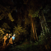 Los Haitises Night Hike In The Rainforest - Image 8