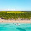 Punta Cana: Boat Tour to Isla Saona, Open Bar & Buffet Lunch - Image 6