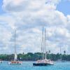 From Punta Cana: Saona Island Full Day Trip with Lunch - Image 6