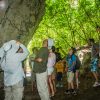 3in1: Los Haitises N P + Yanigua Waterfall + Montaña Redonda - Image 44