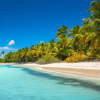 Punta Cana: Saona Island Day Trip with Tickets and Lunch - Image 2