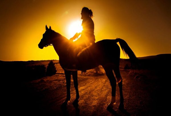 Punta Cana: Sunset Horseback Ride in Macao Beach and Forest