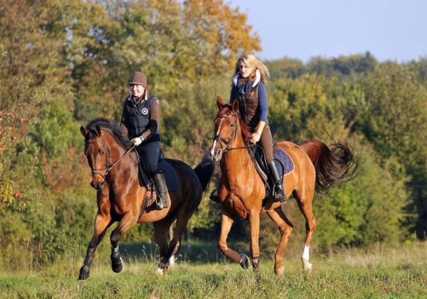 HORSEBACK RIDING BEACH MACAO PUNTA CANA WITH PICKUP HOTEL