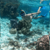 Punta Cana: Full-day Snorkelling Tour in Catalina Island - Image 4