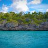 From Punta Cana: Saona Island Full Day Trip with Lunch - Image 46