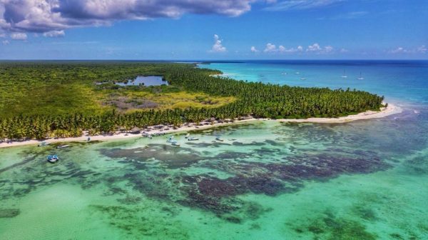 Full-Day Cruise of Isla Saona from Santo Domingo with Lunch