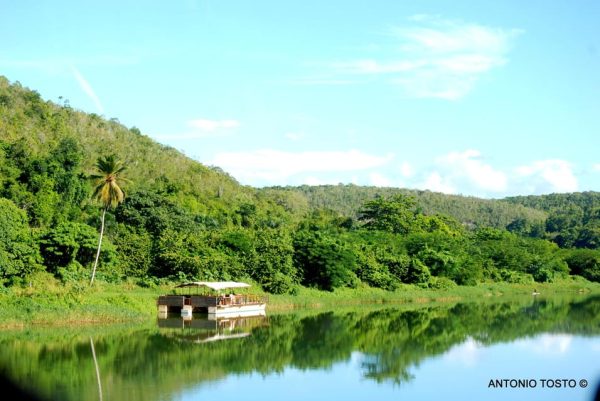 Jungle Eco Tour