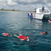 Saona Island Full-Day Tour with Lunch from Punta Cana - Image 7