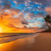 Punta Cana: Sunset Horseback Ride in Macao Beach and Forest - Image 6