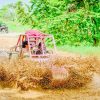 Punta Cana : Done Buggy Excursions AtV /cenote on the Beach - Image 14