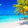 Punta Cana: Saona Island Cruise with Lunch & Open Bar - Image 7