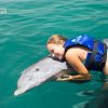 Swim with Dolphins in Punta Cana - Image 6