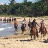 Puerto Plata: Horseback Riding on the Beach - Image 7