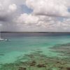 All Inclusive Saona Island Experience from Punta Cana - Image 7