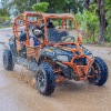 Amazing Excursions in Buggy Punta Cana With Pick Up Hotel - Image 2