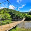 Puerto Plata: Damajagua Waterfalls Full-Day Adventure - Image 7