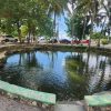 Learn about the History of Bayahibe and Bathe in 7 Springs - Image 6