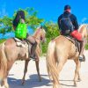 Punta Cana: Half-Day ATV or Buggy and Horseback Riding - Image 7