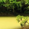 Punta Cana: Anamaya Mountains Walking Tour with Tasting - Image 7