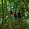 Sabana de la Mar: Los Haitises Guided Hike and Kayaking - Image 6