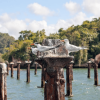 Los Haitises Boat Ride + Caño Hondo Natural Pools - Image 7