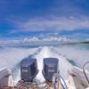 Full-Day Cruise of Isla Saona from Santo Domingo with Lunch - Image 6