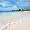 Punta Cana: Isla Saona Day Trip with Catamaran Party - Image 7