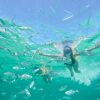 Punta Cana: Reef Explorer Access w/ Sharks & Stingrays Swim - Image 7