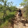 Dominican Republic: El Limón Waterfall Horseback Riding Tour - Image 7