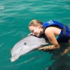 Punta Cana Dolphin Swim Adventure: 40-min Dolphin Experience - Image 7