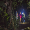 Los Haitises Night Hike In The Rainforest - Image 9