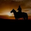 Punta Cana: Sunset Horseback Ride in Macao Beach and Forest - Image 7