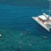 Puerto Plata: Catamaran Snorkeling Trip with Buffet - Image 8