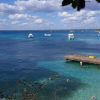 Catalina Island: Day Trip - Best Snorkeling! - Image 2