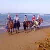 Puerto Plata: Horseback Riding on the Beach - Image 4