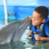 Dolphin Encounter for Dominican Residents - Image 8